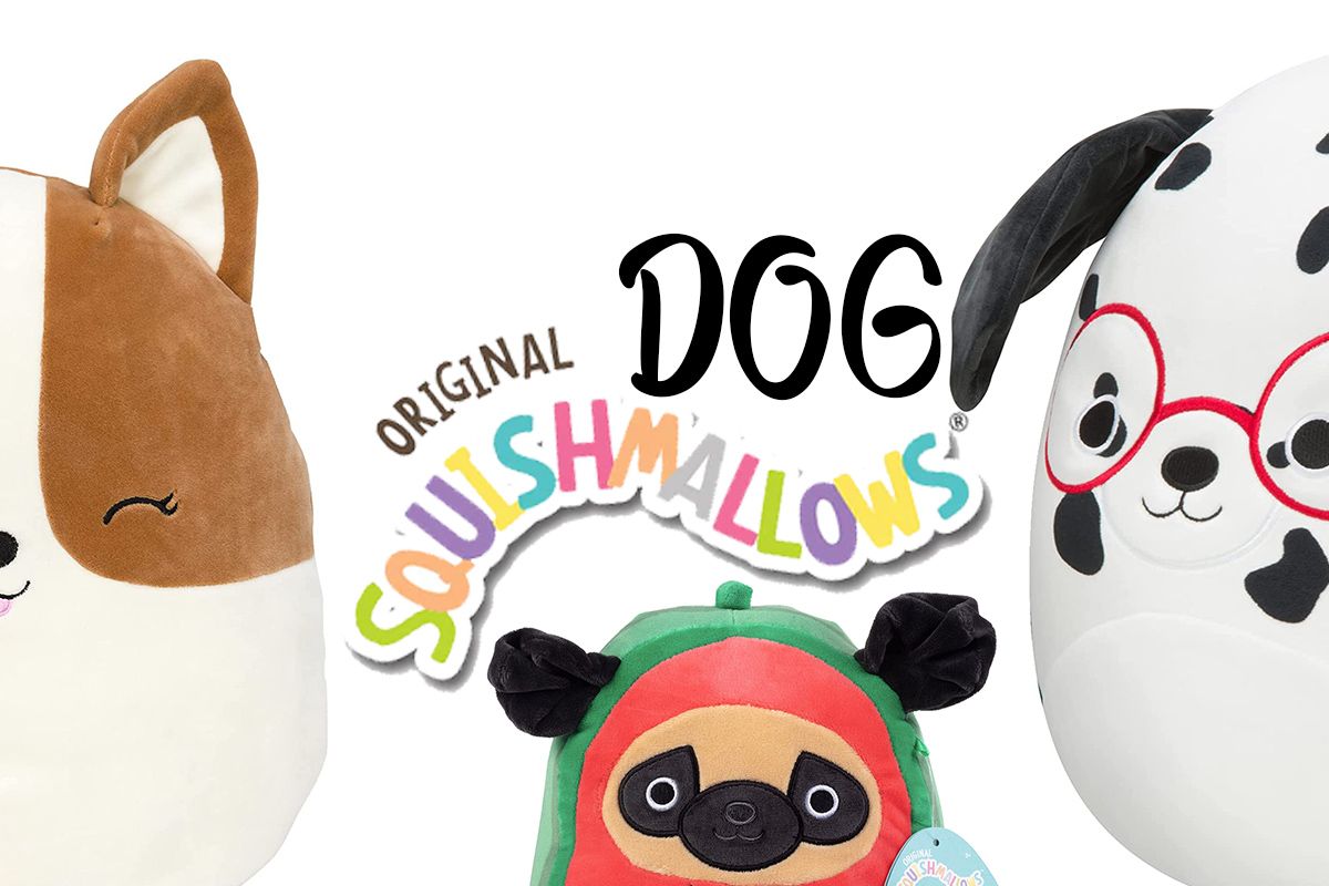 Looking for the Perfect Dog Squishmallow? We Got You!