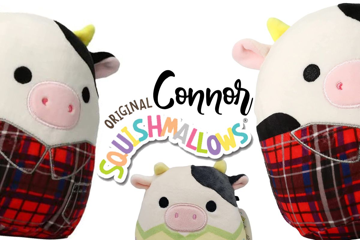 Kids and Adults Love the Connor Squishmallow