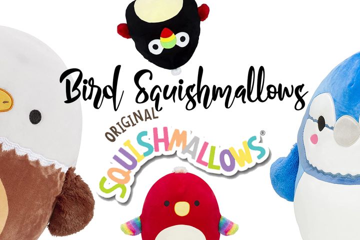 Give a Gift to Tweet About: The Bird Squishmallow!