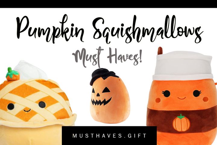 Squash Stress and Cuddle a Pumpkin Squishmallow!
